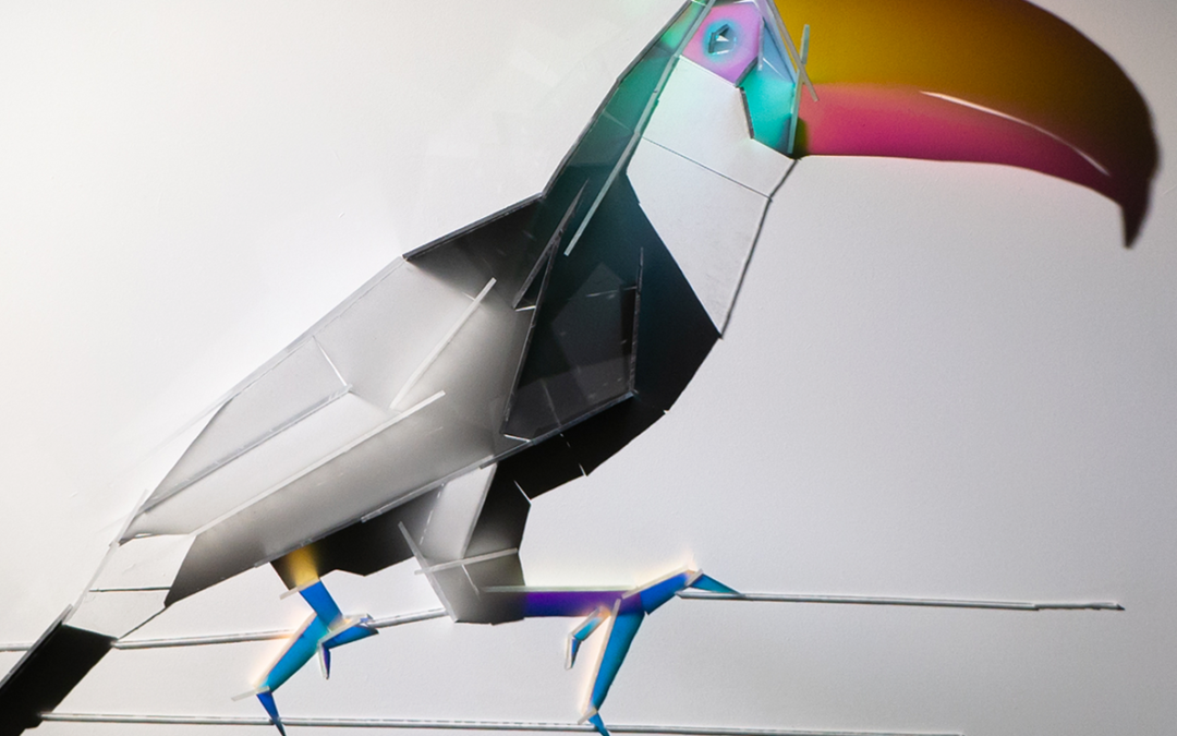 Toucan